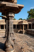 The great Chola temples of Tamil Nadu - The Airavatesvara temple of Darasuram. The peripheral columns of the  mandapa with seated yalis at the base. 